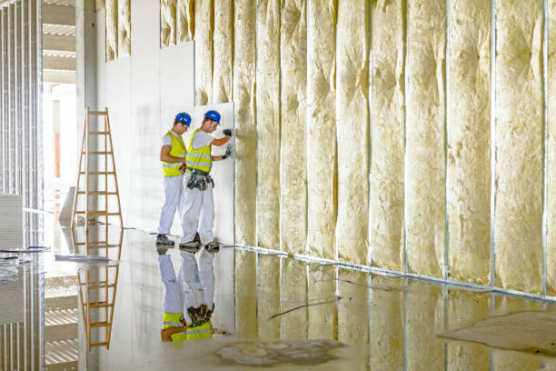 Best Geographic-Specific Insulation Services in Fountain Green, UT